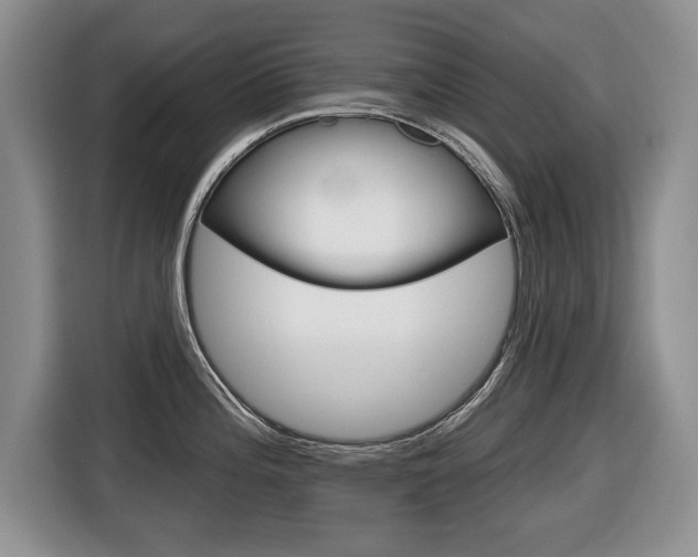 X0000116431196200912081214