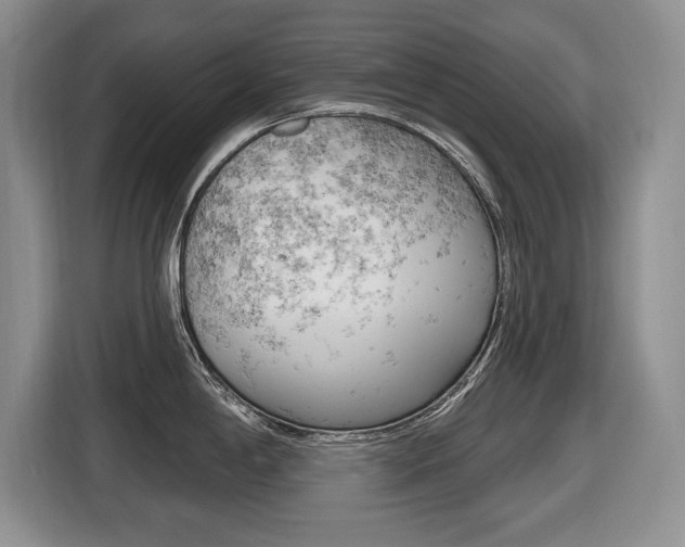 X0000116431198200912081214