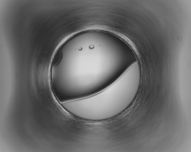 X0000116431199200912081214