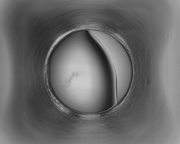 X0000116431200200912081214