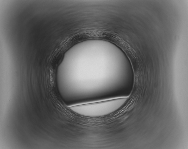 X0000116431202200912081213