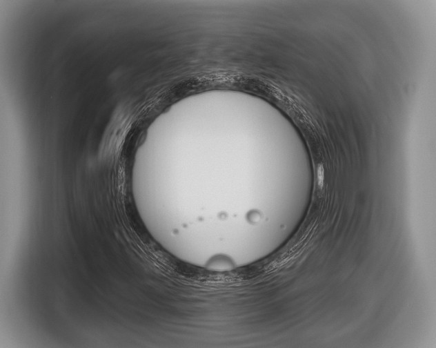 X0000116431203200912081213