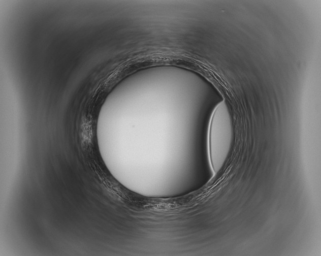 X0000116431204200912081213