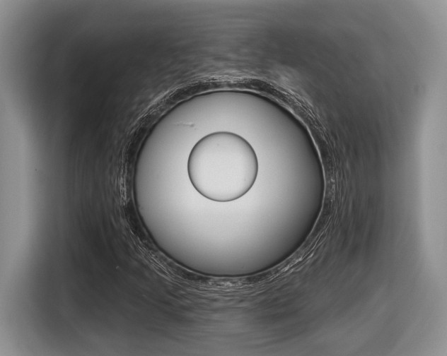 X0000116431205200912081213
