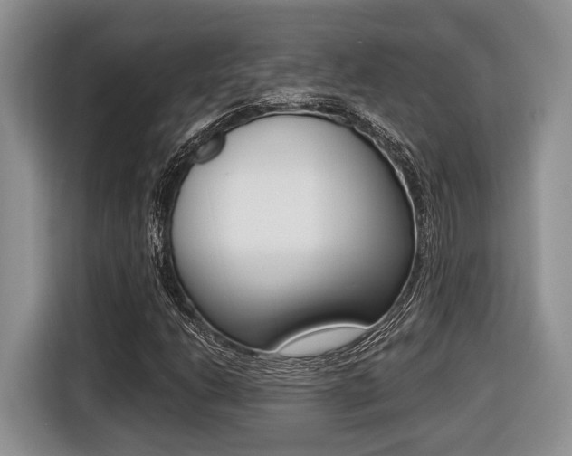X0000116431206200912081213