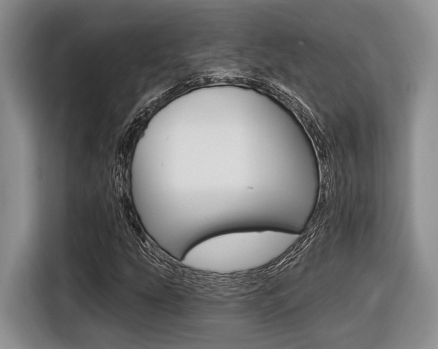 X0000116431207200912081213