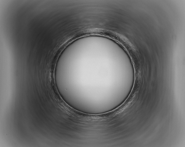 X0000116431209200912081214