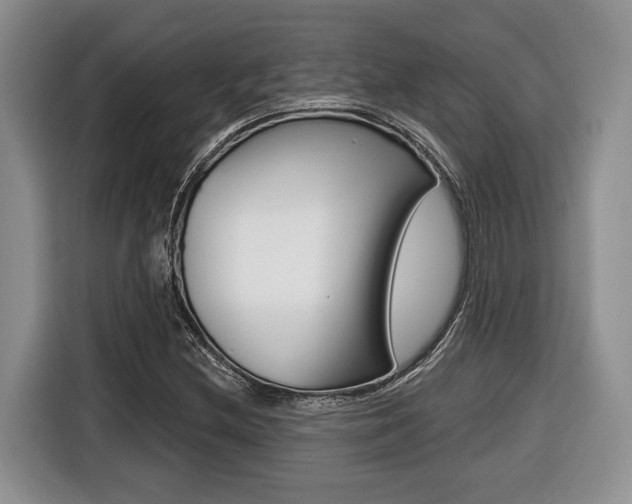 X0000116431212200912081214