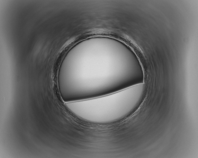X0000116431213200912081214