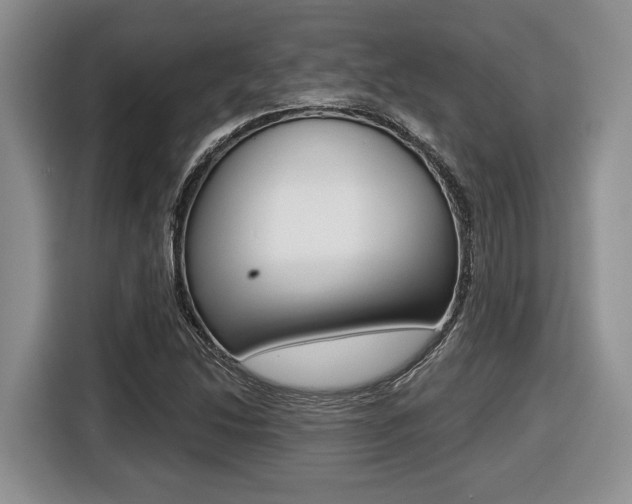 X0000116431214200912081214