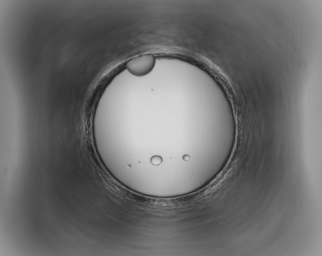 X0000116431215200912081214