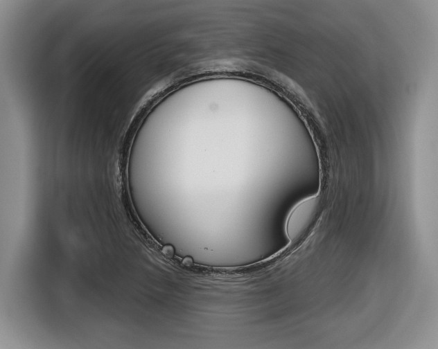 X0000116431218200912081214