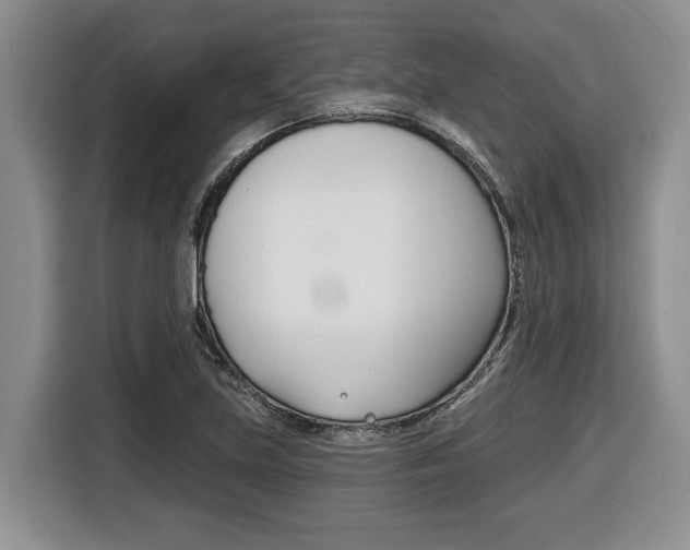 X0000116431219200912081214