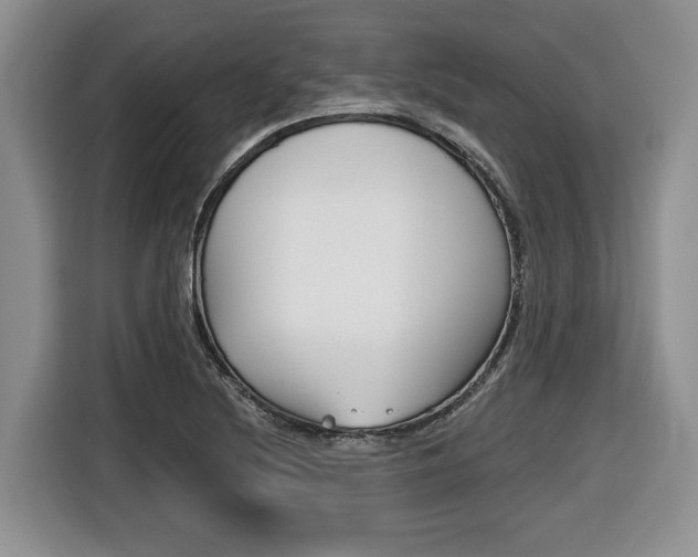 X0000116431220200912081214