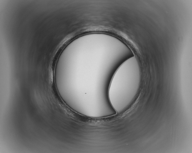 X0000116431221200912081214