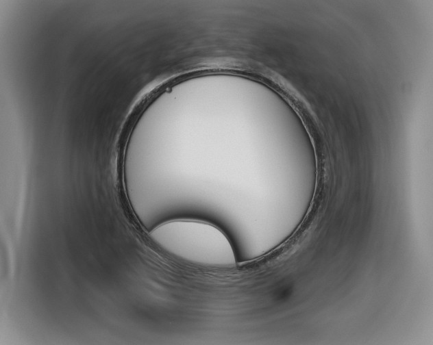 X0000116431222200912081214