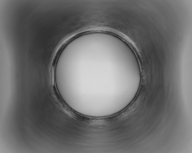 X0000116431223200912081214