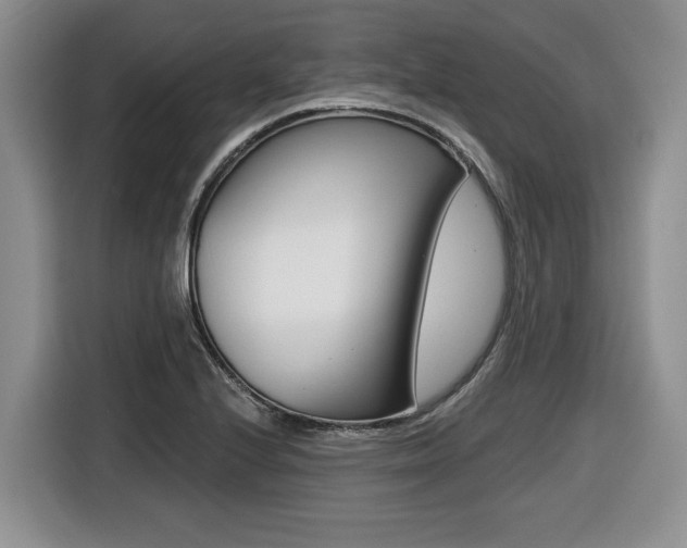 X0000116431224200912081214