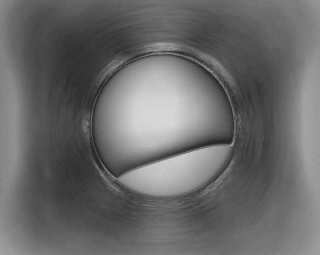 X0000116431225200912081214