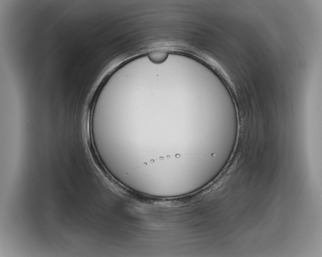X0000116431227200912081214