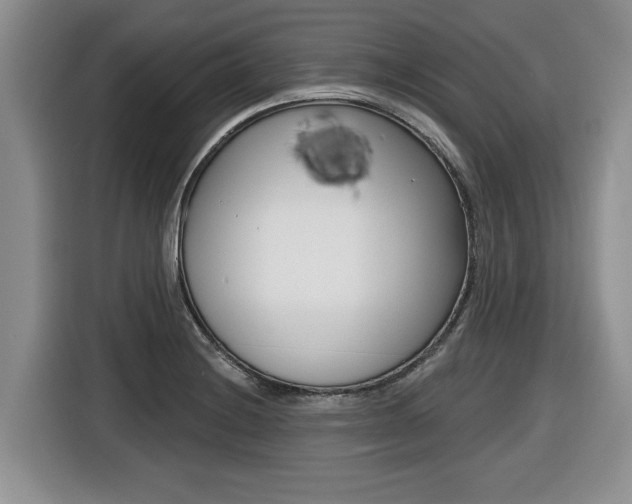 X0000116431228200912081214