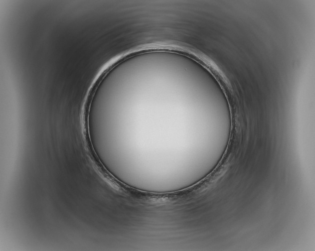 X0000116431230200912081214