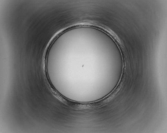 X0000116431232200912081214