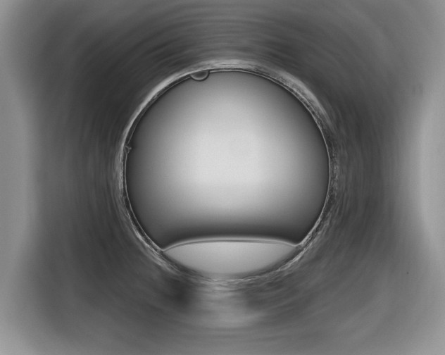 X0000116431236200912081214