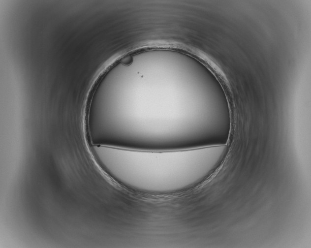 X0000116431237200912081214