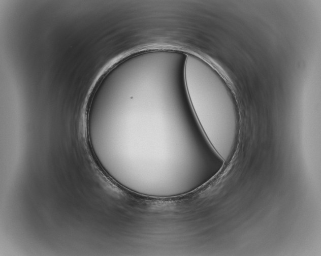 X0000116431238200912081214