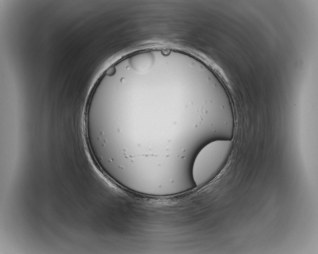 X0000116431239200912081214