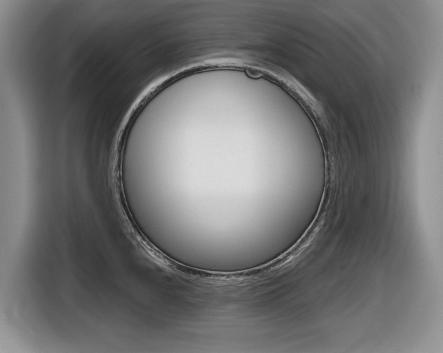 X0000116431240200912081214