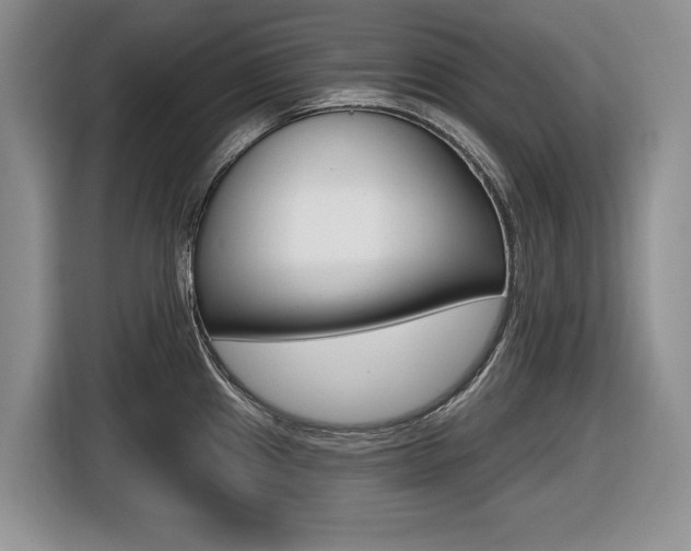 X0000116431241200912081214