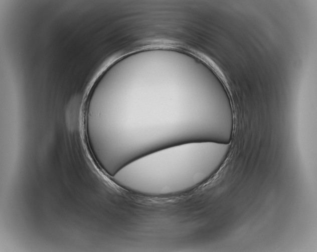 X0000116431243200912081214