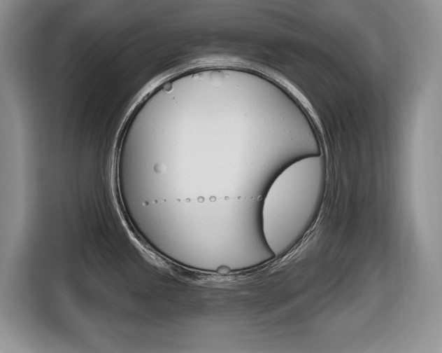 X0000116431245200912081214