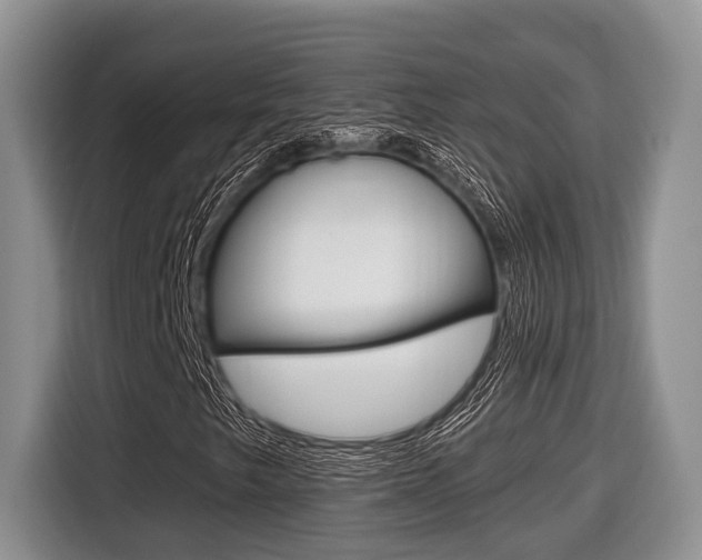 X0000116431249200912081213