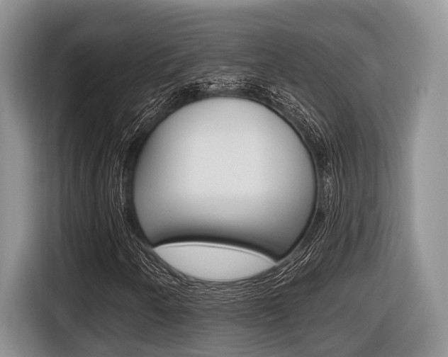 X0000116431250200912081213