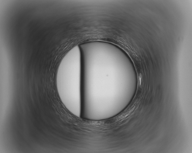 X0000116431251200912081213