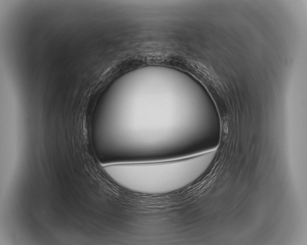 X0000116431252200912081213
