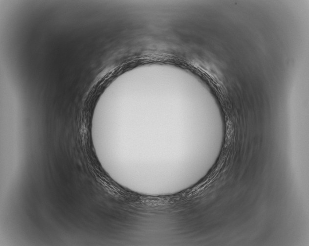 X0000116431254200912081213
