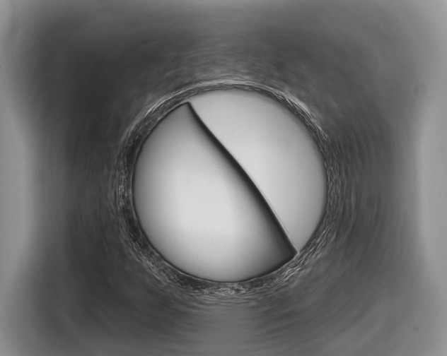 X0000116431255200912081213