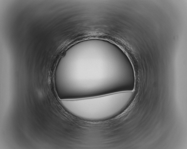 X0000116431257200912081213
