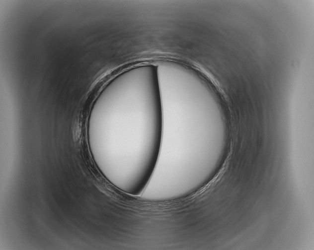 X0000116431259200912081213