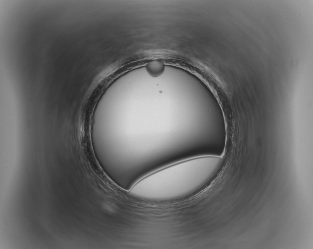 X0000116431261200912081213