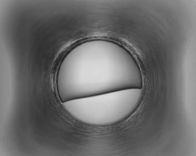 X0000116431262200912081213