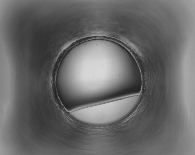 X0000116431264200912081213