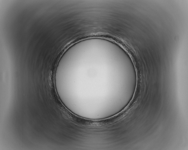X0000116431265200912081213