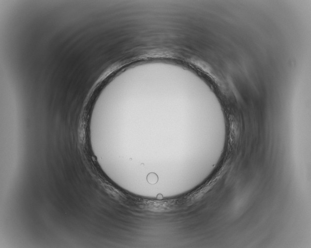 X0000116431266200912081213