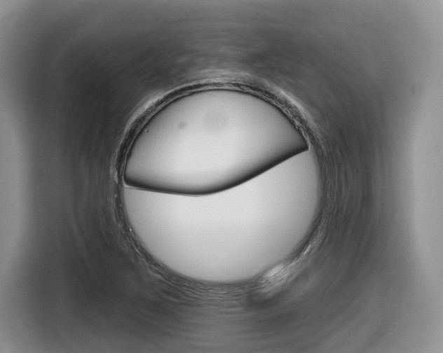 X0000116431267200912081213