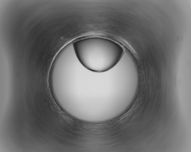 X0000116431268200912081213